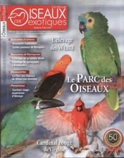 Oiseaux exotiques n°421 : Le
