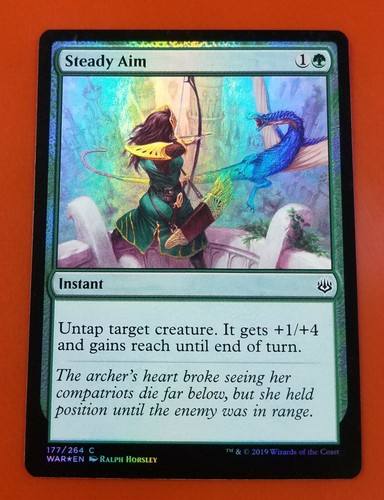 Steady aim foil war - 1x,