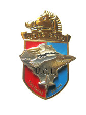ANCIEN INSIGNE DU GENIE 3° RG UCL OPEX KOSOVO KFOR BATGEN 5 FAB. SHELI