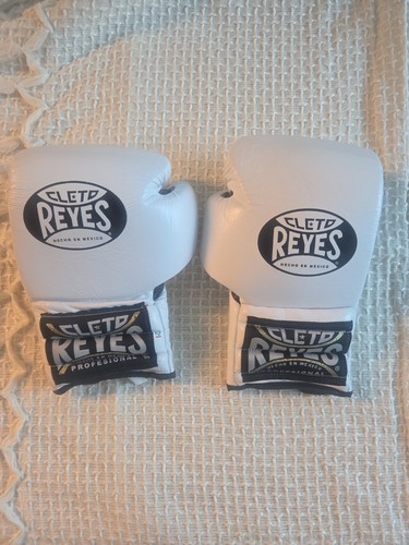 Cleto reyes sparring boxing - reyes,