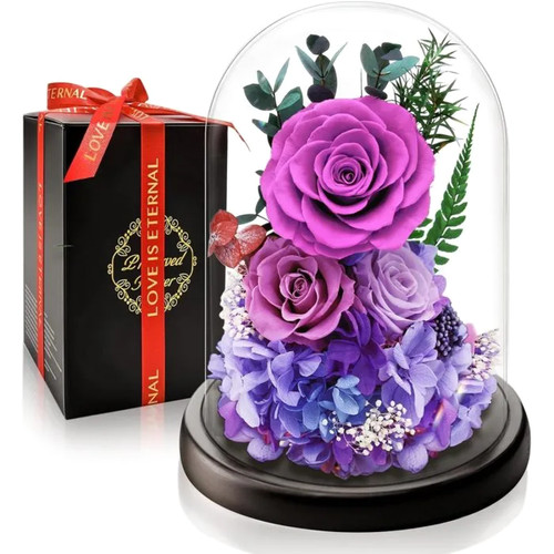 Rose éternelle violette - rose,