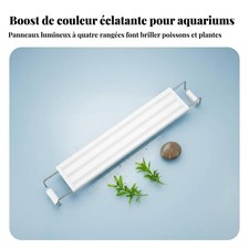 Éclairage à Pince pour