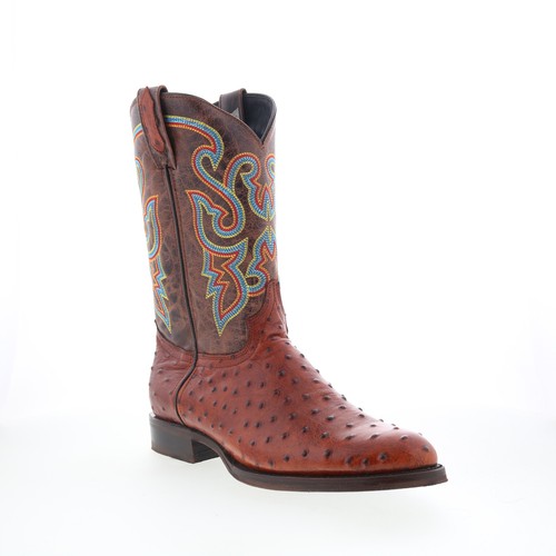 Dingo ranger santiague pour - dingo,