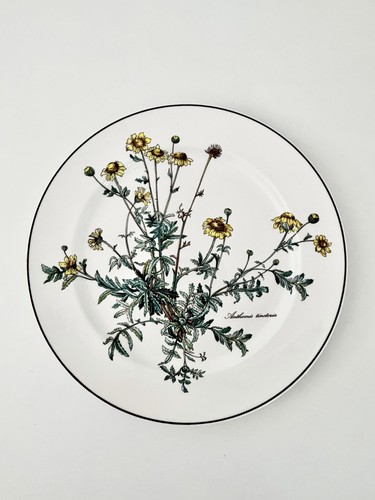Villeroy boch botanica - villeroy, &