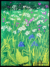 David Hockney Lithographie