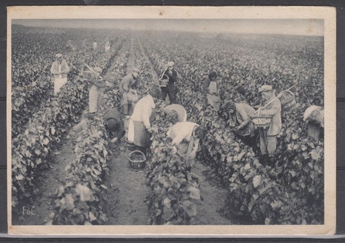 Marne les vendanges - -,