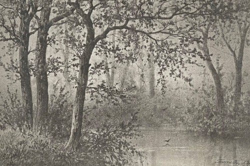 école barbizon pantotypie - barbizon,
