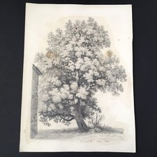 Dessin 1866 Marlotte École de