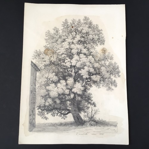 Dessin 1866 marlotte école - dessin,