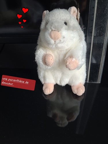 Ddd doudou peluche - ,
