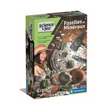 Mini-Coffret Fossiles et