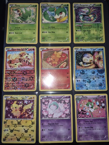 Pokémon 2013 legendary - pokémon,