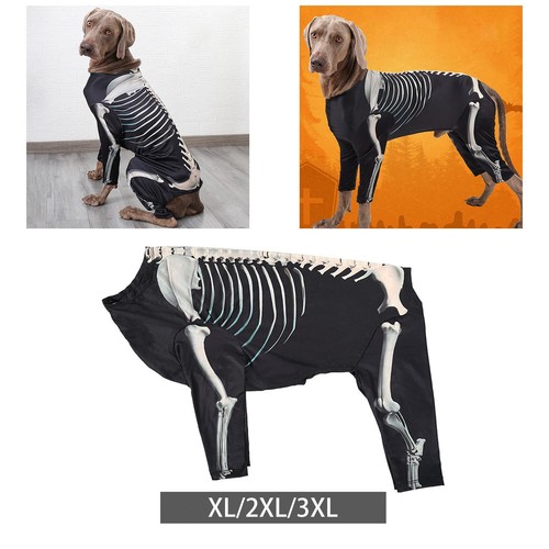 Costume chien squelette - costume,