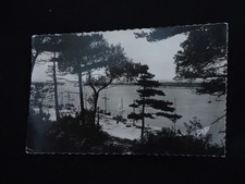 [247] CPA  année 50 DIVE . CABOURG