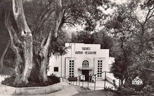 Algérie - HAMMAM MESKOUTINE - Les thermes - Ed. Ets. Photo-Albert 2