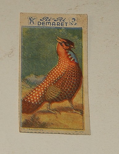 Image chromo demaret - chromo,