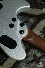 EVH Wolfgang WG Standard