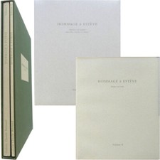 Hommage à Estève 2003 oeuvres huiles galerie Claude Bernard Chapon Terrasse 1&2