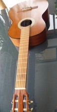 Guitare Pro Arte