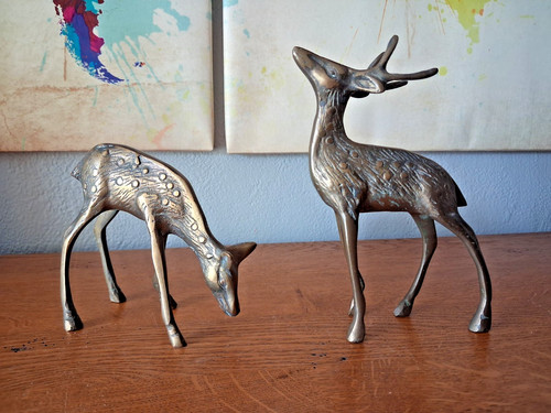 Couple cerf biche en - cerf,