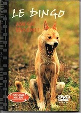 Le Dingo - Ami ou ennemi ?"