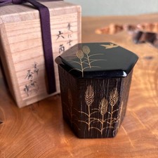 Nakaya Shusai Hexagonal