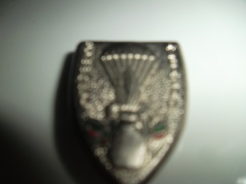 Insignes militaires - insignes,