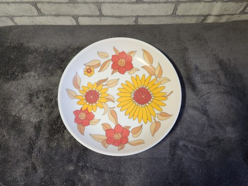 Assiette melaminee vintage - assiette,