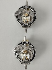Lot insignes brevets commando