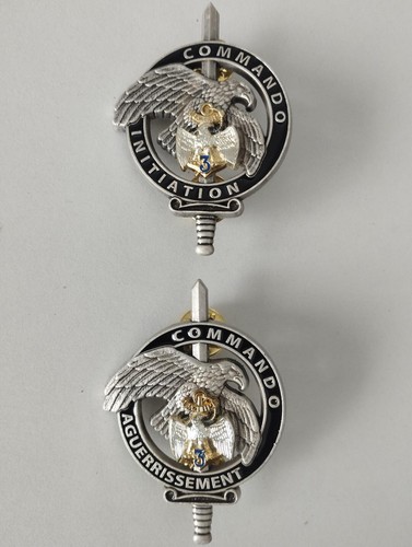 Lot insignes brevets commando