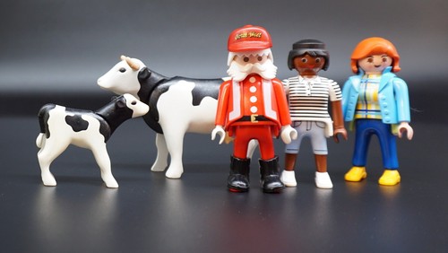 Playmobil figurine homme - , femme