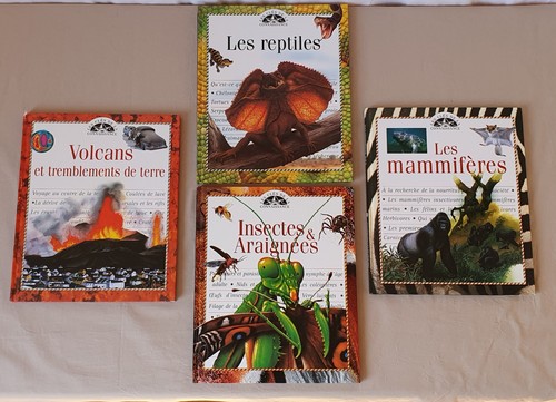 Lot livres volcans - lot,