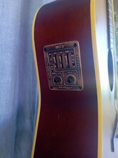 vintage steel guitare