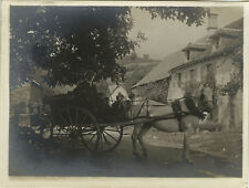 PHOTO ANCIENNE - VINTAGE SNAPSHOT - ANIMAL CHEVAL ATTELAGE CALÈCHE FIACRE-CHEVAL