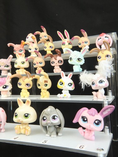 Lapins lièvres spéciaux - lapins,