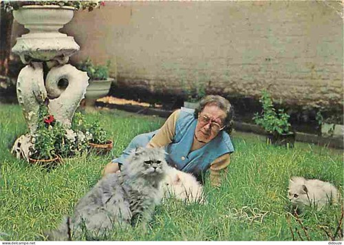 Carte postale animaux - carte,