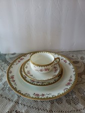24 pc. HAVILAND & Co. LIMOGES