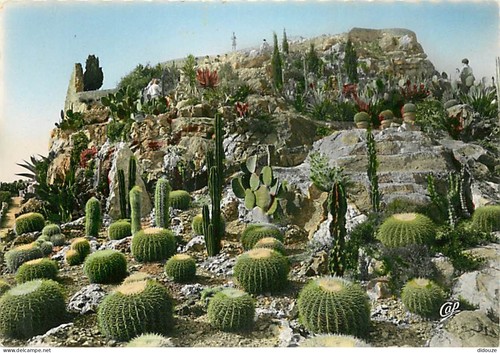 Carte postale fleurs - carte,
