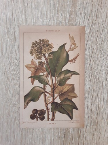 Carte-Chromos-Découpis-HACHET