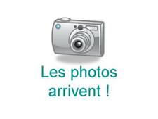 BLOUSON COURT  -  Doublé