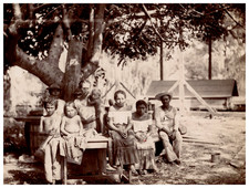 Costa Rica, Piantagioni di