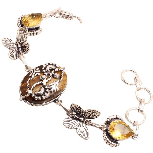 Tigre eye gemme plaqué - eye, argent