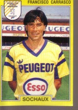 Francisco carrasco panini - carrasco,