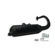 Silencieux MALOSSI Sauvage