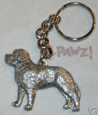 Saint bernard dog fine - bernard,