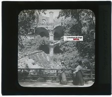 Château de Heidelberg, photo plaque verre, noir & blanc, positif 8,5x10 cm