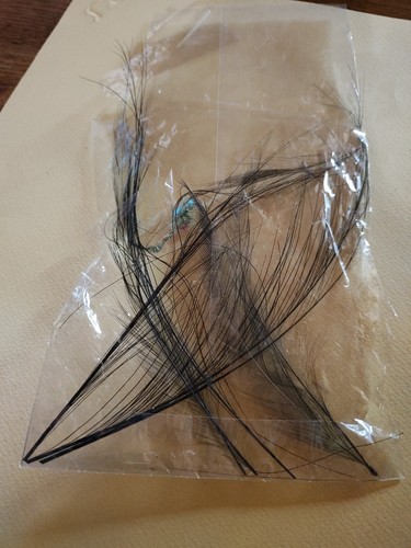 Application ancienne plume - ,