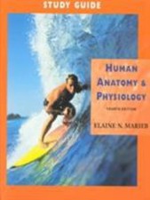 Anatomie Humaine Et