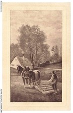 ASJP2-0077-AGRICULTURE - Chevaux tirant une charrue