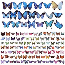 240 Pcs Autocollant